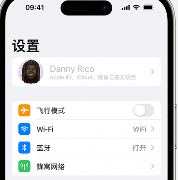 丰县appleID维修服务iPhone设置中Apple ID显示为灰色无法使用 