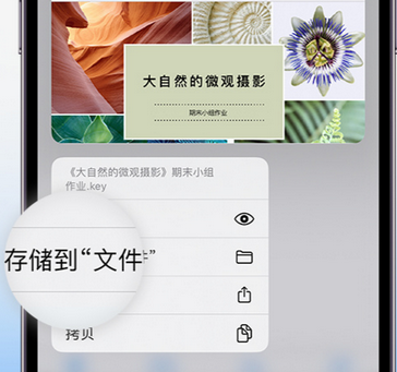 丰县apple维修中心分享iPhone文件应用中存储和找到下载文件