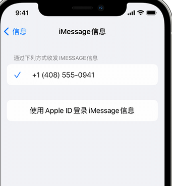 丰县apple维修iPhone上无法正常发送iMessage信息 