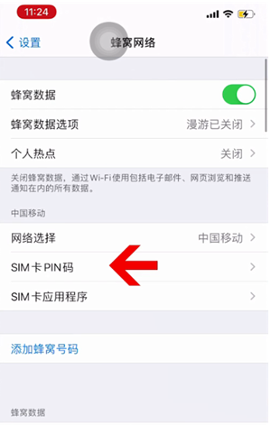 丰县苹果14维修网分享如何给iPhone14的SIM卡设置密码 