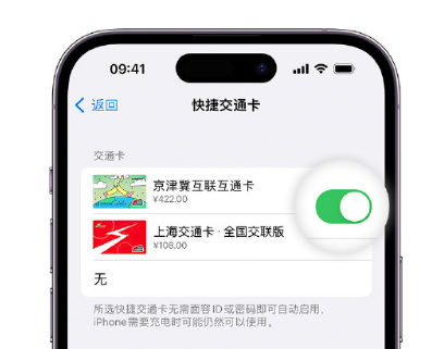 丰县apple维修点分享iPhone上更换Apple Pay快捷交通卡手绘卡面 