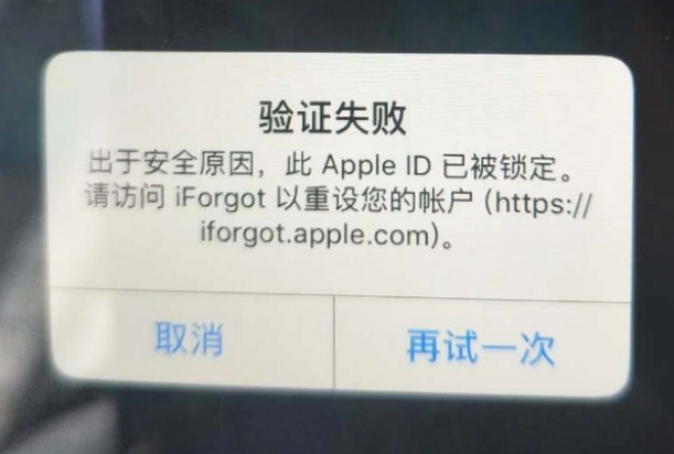 丰县iPhone维修分享iPhone上正常登录或使用AppleID怎么办 