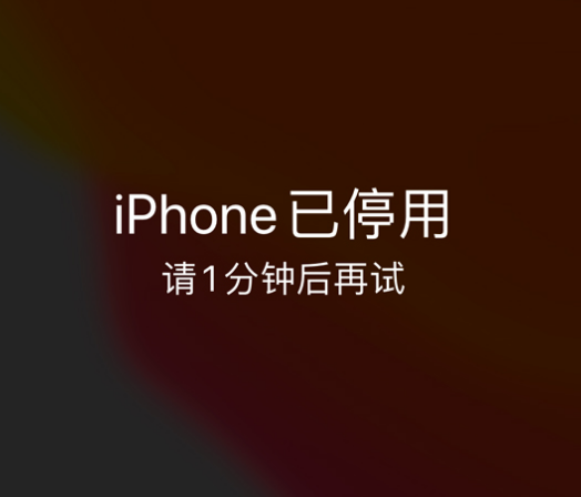 丰县苹果手机维修分享:iPhone 显示“不可用”或“已停用”怎么办？还能保留数据吗？ 