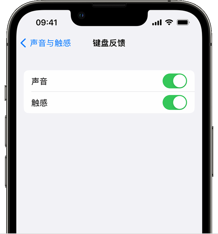 丰县苹果14维修店分享如何在 iPhone 14 机型中使用触感键盘 