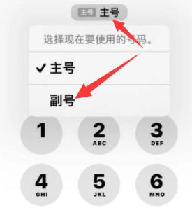 丰县苹果14维修店分享iPhone 14 Pro Max使用副卡打电话的方法 