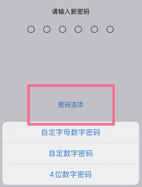 丰县苹果14维修分享iPhone 14plus设置密码的方法 