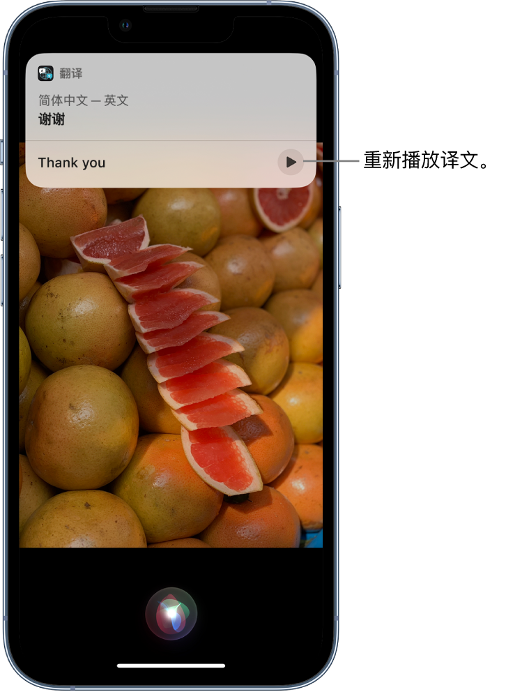 丰县苹果14维修分享 iPhone 14 机型中使用 Siri：了解 Siri 能帮你做什么 