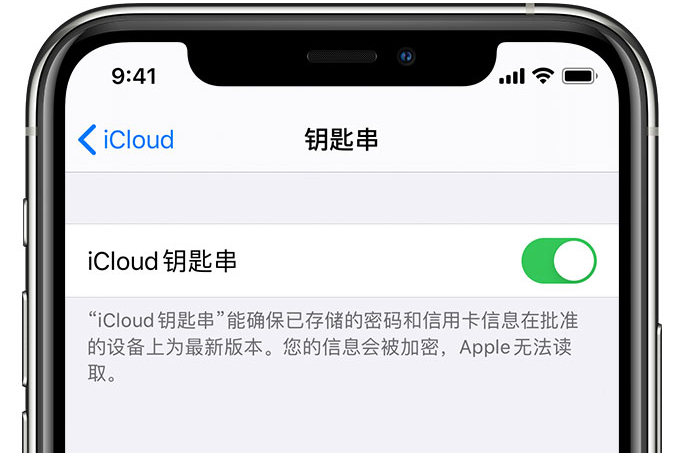 丰县苹果手机维修分享在 iPhone 上开启 iCloud 钥匙串之后会储存哪些信息 