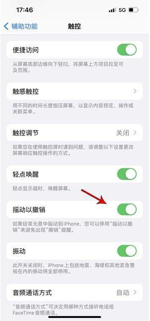 丰县苹果手机维修分享iPhone手机如何设置摇一摇删除文字 