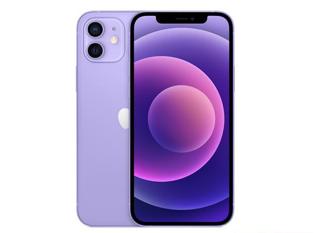 丰县苹果手机维修分享现阶段要不要入手紫色版iPhone12 