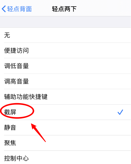 丰县苹果手机维修分享iPhone12如何启用双击截屏 
