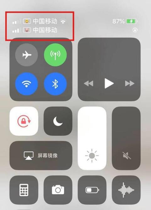 丰县苹果手机维修分享为 iPhone 12 双卡设置标签 